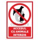 Accesul cu Animale Interzis Caini Pisici