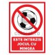 Este Interzis Jocul cu Mingea