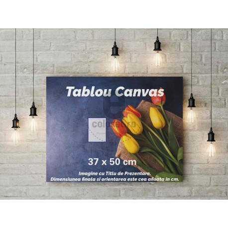 Tablou Canvas Rama Ascunsa 37x50 cm
