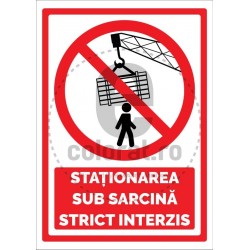 Stationarea sub Sarcina Strict Interzis