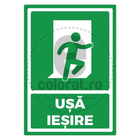 Usa Iesire