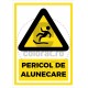 Pericol de Alunecare