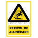 Pericol de Alunecare