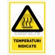Temperaturi Ridicate