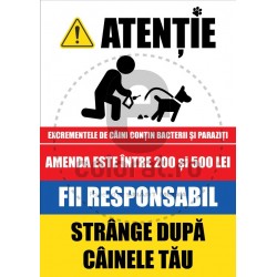 Strange Dupa Cainele Tau - Amenda