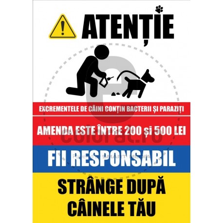 Strange Dupa Cainele Tau - Amenda