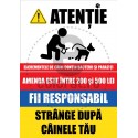 Strange Dupa Cainele Tau - Amenda