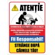 Strange Dupa Cainele Tau