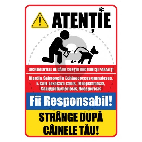 Strange Dupa Cainele Tau