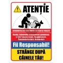 Strange Dupa Cainele Tau