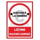 Latime Maxima Admisa - La cerere