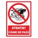 Atentie Caine de Paza