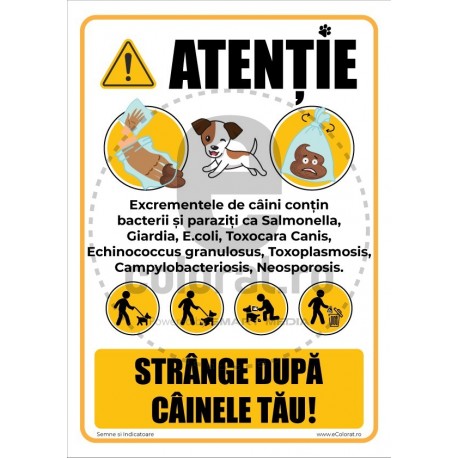 Atentie Strange Dupa Cainele Tau