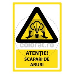 Atentie Scapari de Abur