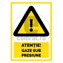 Atentie Gaze sub Presiune