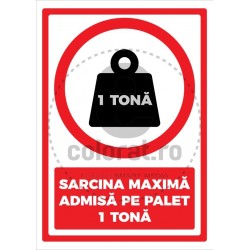 Sarcina Maxima Admisa pe Palet kg v1190