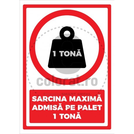 Sarcina Maxima Admisa pe Palet kg v1190