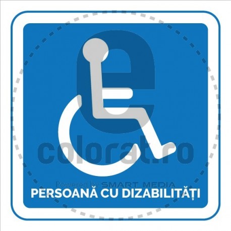 Persoana cu Dizabilitati P v1200