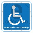 Persoana cu Dizabilitati P v1200