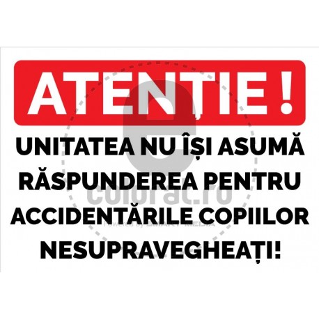 Atentie Unitatea Nu Isi Asuma Raspunderea Accidentare Copii Nesupravegheati v1240