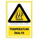 Temperaturi Inalte