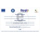Regio Panou Program Operational REGIO Instrumente Structurale v1257