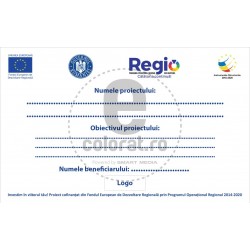 Regio Panou Program Operational REGIO Instrumente Structurale v1257
