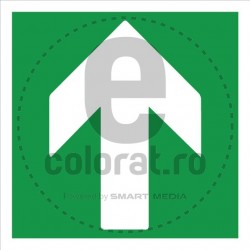 Directie de Evacuare - Sageata - In Sus P