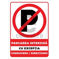 Parcarea Interzisa cu Exceptia Conducerii Directiunii