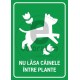 Nu Lasa Cainele Intre Plante v1658