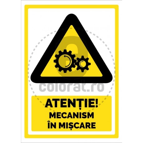Atentie Mecanism in Miscare