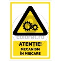 Atentie Mecanism in Miscare