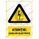 Atentie Cabluri Electrice V2 ec1704