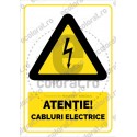 Atentie Cabluri Electrice V2 ec1704