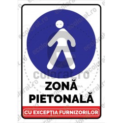 Zona Pietonala cu Exceptia Furnizorilor ec1724