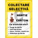 Colectare Selectiva Hartie Carton Ce Aruncam Aici ec1730
