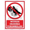 Interzis Hranirea Porumbeilor V3 1753