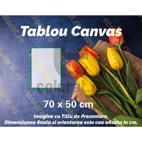 Tablou Canvas Rama Ascunsa 50 x 70 cm