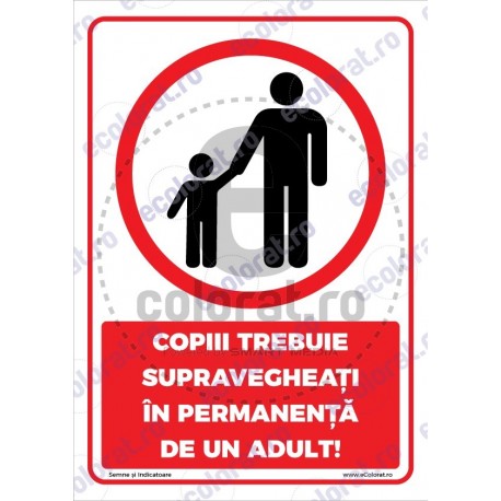 Copiii Trebuie Supravegheati In Permanenta De Un Adult v1787