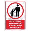 Copiii Trebuie Supravegheati In Permanenta De Un Adult v1787