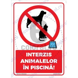 Interzis Animalelor In Piscina v1794