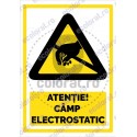 Atentie Camp Electrostatic