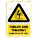 Tablou Sub Tensiune Pericol Electric v1845