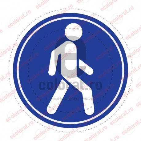 Directie Deplasare Pietonal v1879 Floor Graphics