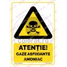 Atentie Gaze Asfixiante Amoniac v1880