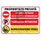 Proprietate Privata Acces Interzis Parcare Interzisa Supraveghere Video L v1886