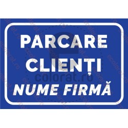 Parcare Clienti Nume Firma Albastru