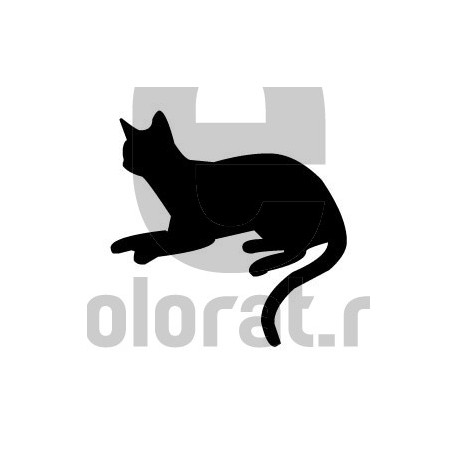 Sticker Decorativ Pisica - 2002