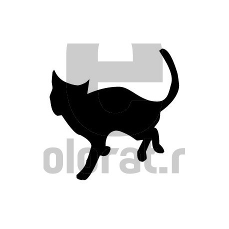 Sticker Decorativ Pisica - 2010