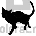 Sticker Decorativ Pisica - 2010